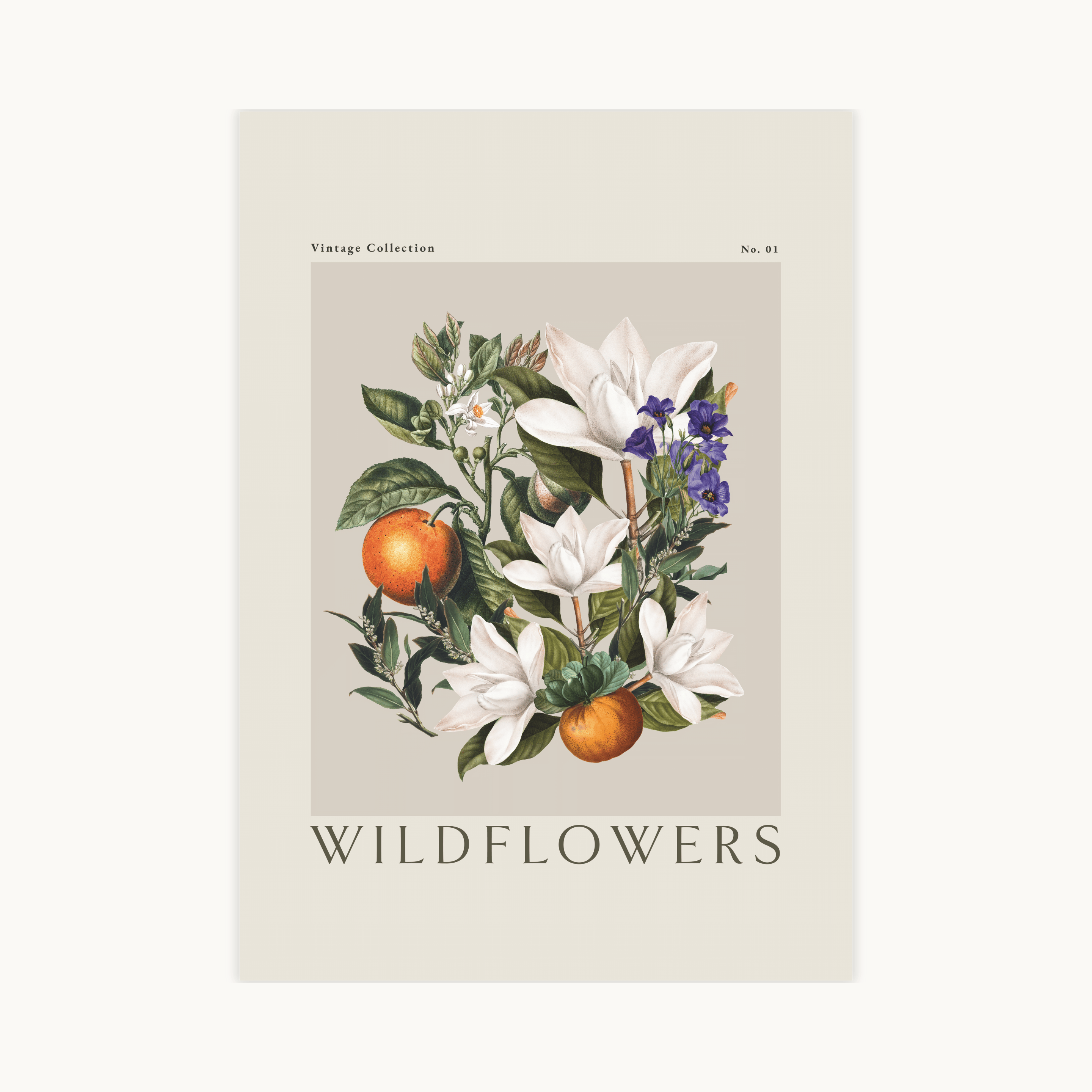 Vintage botanische poster met witte magnolias, oranje vruchten en paars-blauwe bloemen op een beige achtergrond met de tekst Wildflowers.