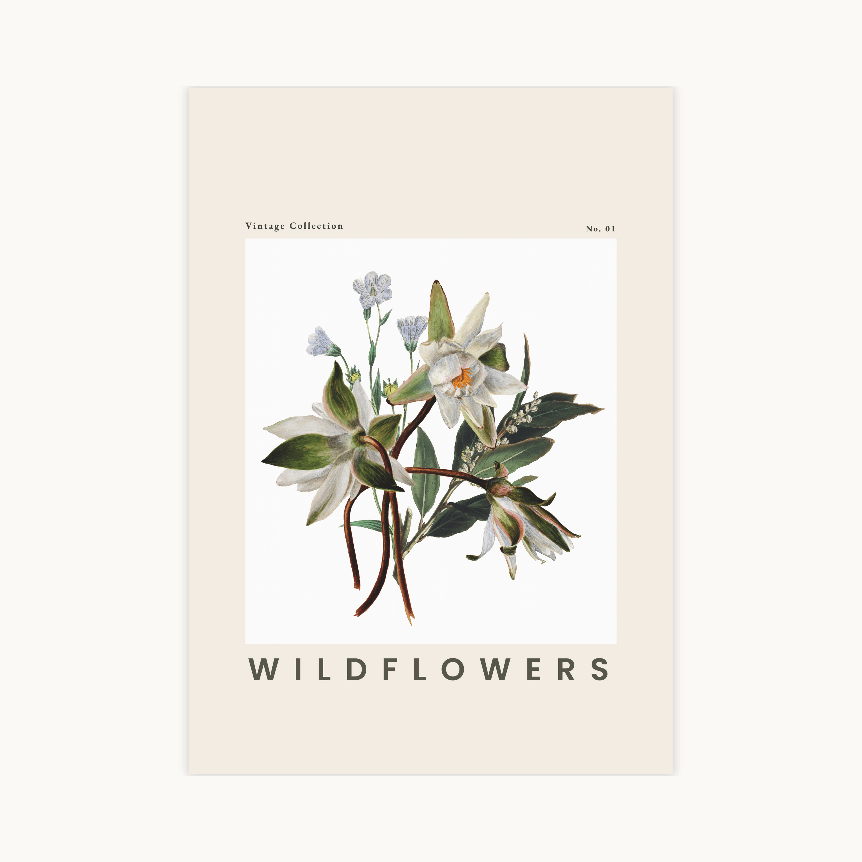 Botanische vintage poster met een illustratie van witte wilde bloemen en groene bladeren op een beige achtergrond, voorzien van de tekst Wildflowers Vintage Collection.