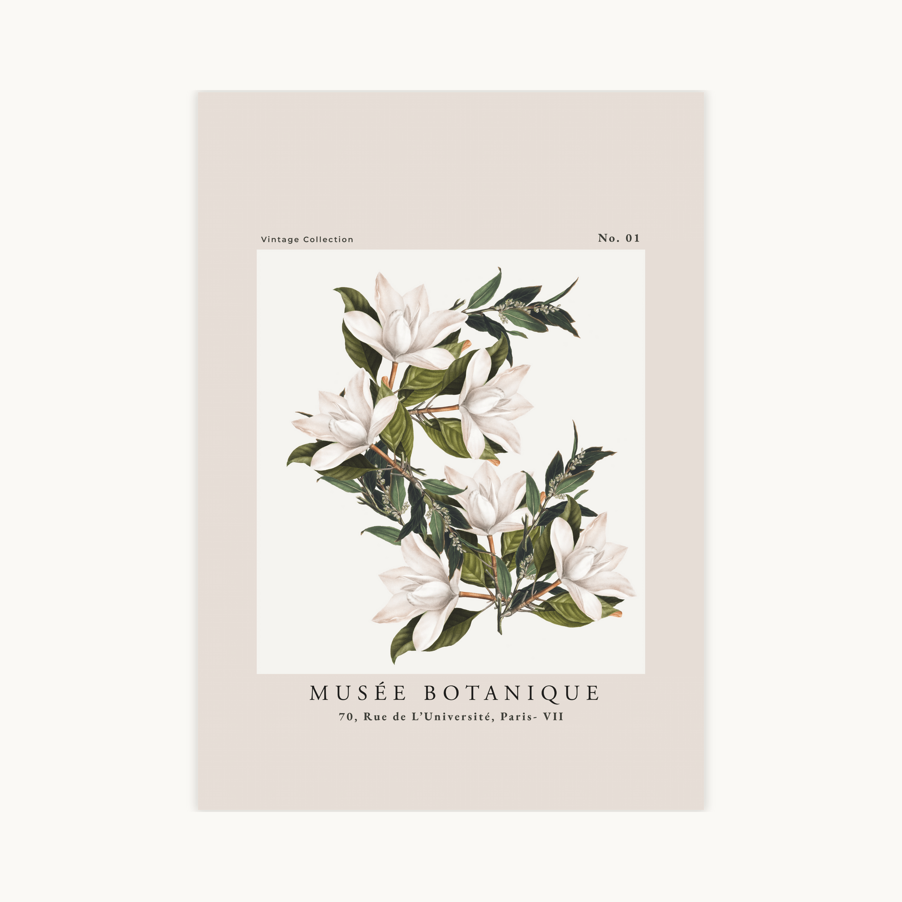 Vintage botanische poster Musée Botanique Paris met grote witte bloemen en groene bladeren op een lichte achtergrond uit de Vintage Collection No. 01.