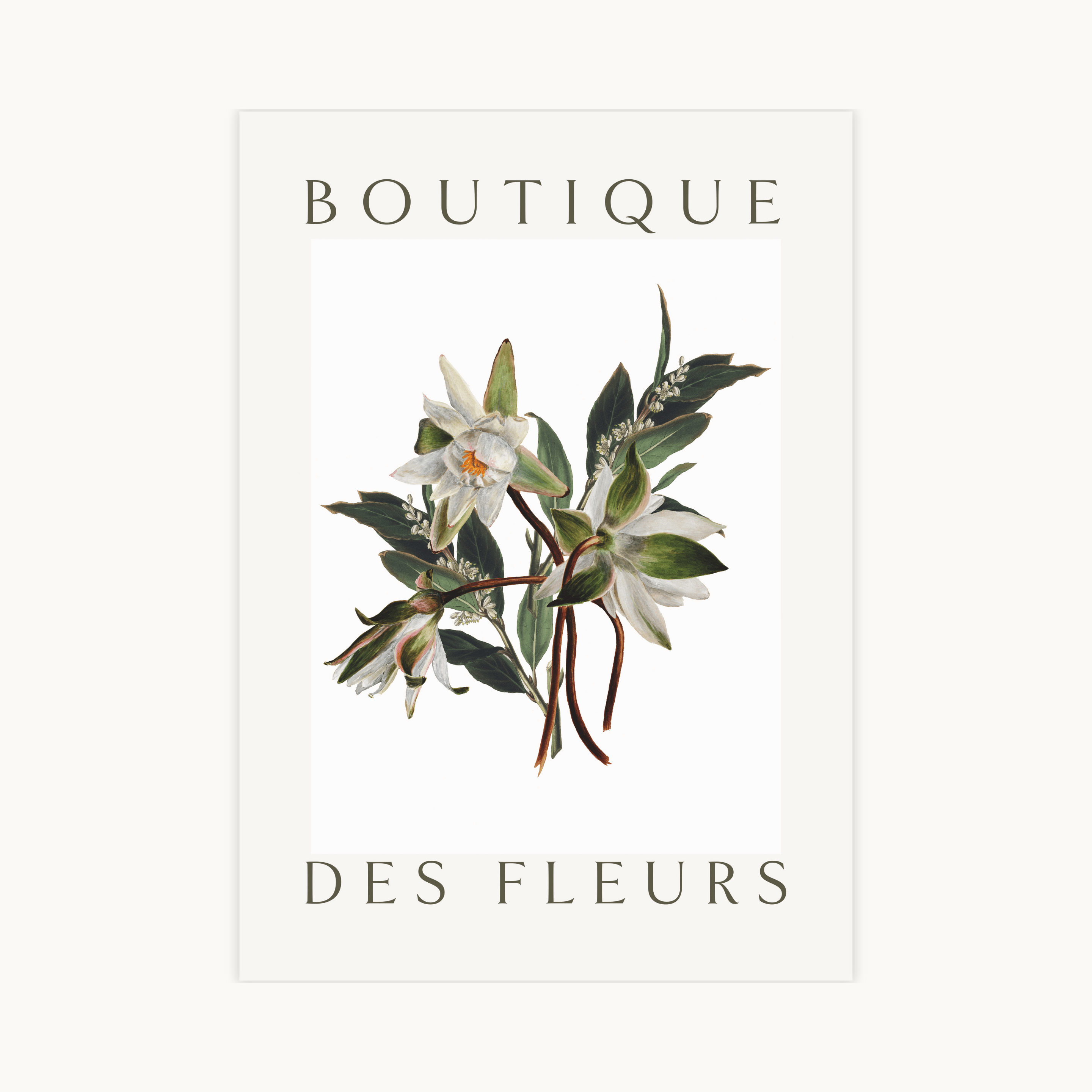 Botanische poster met witte bloemen en donkergroene bladeren in vintage stijl, voorzien van de tekst "BOUTIQUE DES FLEURS" tegen een witte achtergrond.