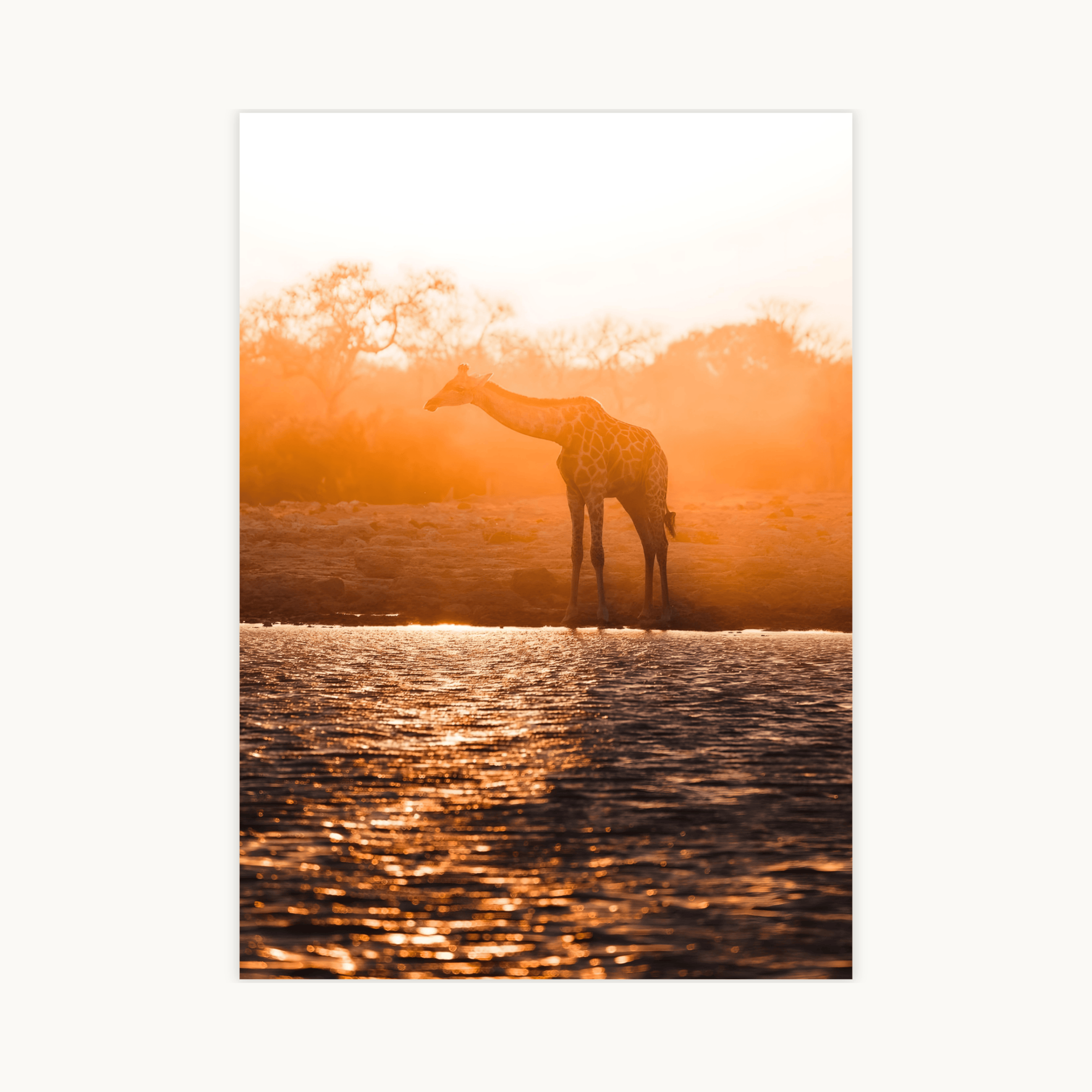 Verticale poster van een giraf bij zonsondergang of zonsopgang bij een waterplaats in Afrika. De scène is gedomineerd door intense oranje en gouden tinten door het warme licht, dat dramatisch reflecteert in het water. Dierenfotografie en wildlife art voor de muur.
